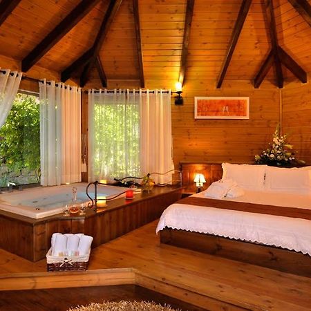 Talia Cabin Guest & Spa Rosh Pinna Buitenkant foto
